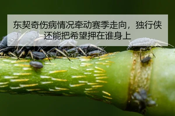 dong-qi-qi-shang-bing-qing-kuang-qian-dong-sai-ji-zou-xiang-du-xing-xia-hai-neng-ba-xi-wang-ya-zai-shui-shen-shang-2-599.jpg