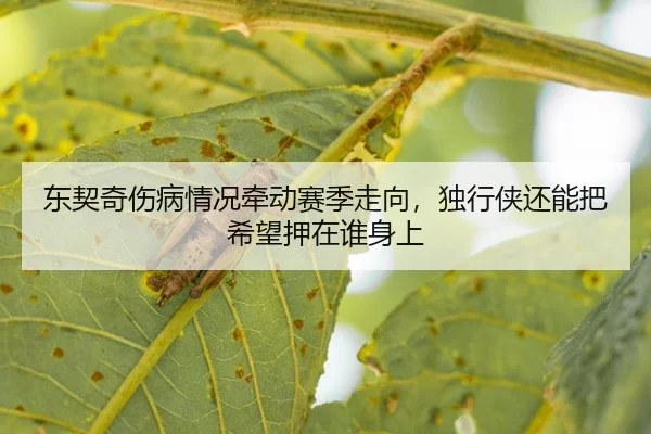 dong-qi-qi-shang-bing-qing-kuang-qian-dong-sai-ji-zou-xiang-du-xing-xia-hai-neng-ba-xi-wang-ya-zai-shui-shen-shang-3-123.jpg