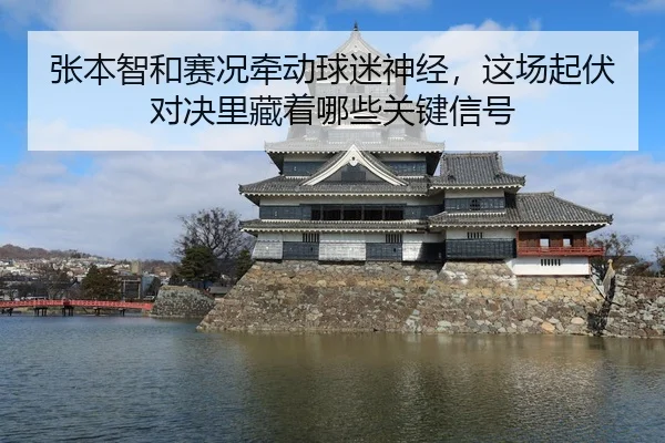张本智和赛况牵动球迷神经，这场起伏对决里藏着哪些关键信号