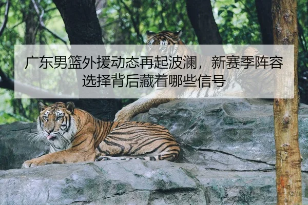 广东男篮外援动态再起波澜，新赛季阵容选择背后藏着哪些信号