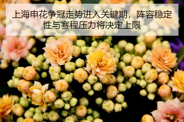 shang-hai-shen-hua-zheng-guan-zou-shi-jin-ru-guan-jian-qi-zhen-rong-wen-ding-xing-yu-sai-cheng-ya-li-jiang-jue-ding-3-903.jpg